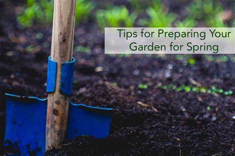 Monsoon Gardening